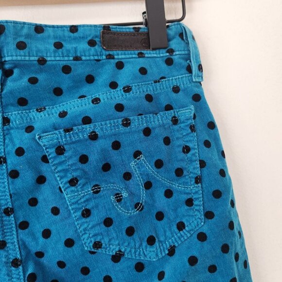 Adriano Goldschmied The Stevie Ankle Slim Straight Leg Corduroy Pants Jeans 25R - Picture 6 of 11